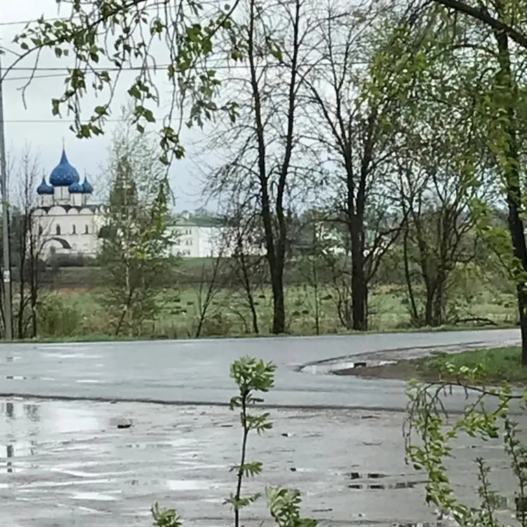 Уютная квартира с видом на Суздальский Кремль