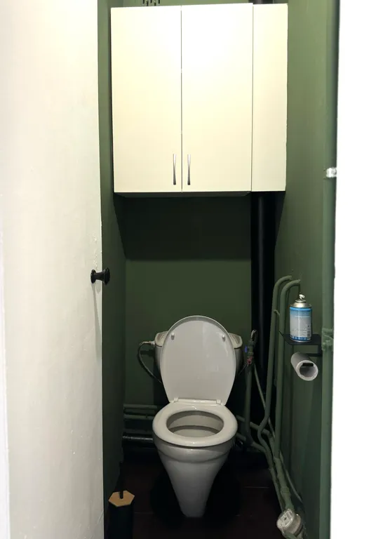 2-к. квартира, 50 м², 3 кровати