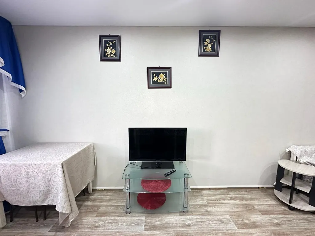 Большая уютная квартира