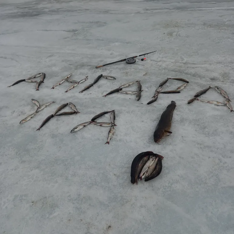Уютные Домики с баней мангалом природой и тишиной