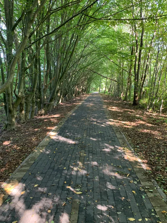 1-комнатная квартира с новым ремонтом на море