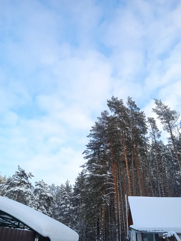 Домик в древнем Гнёздове