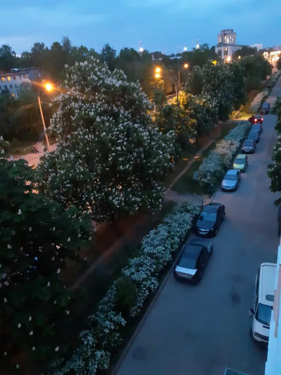 Самый красивый мост и центр рядом