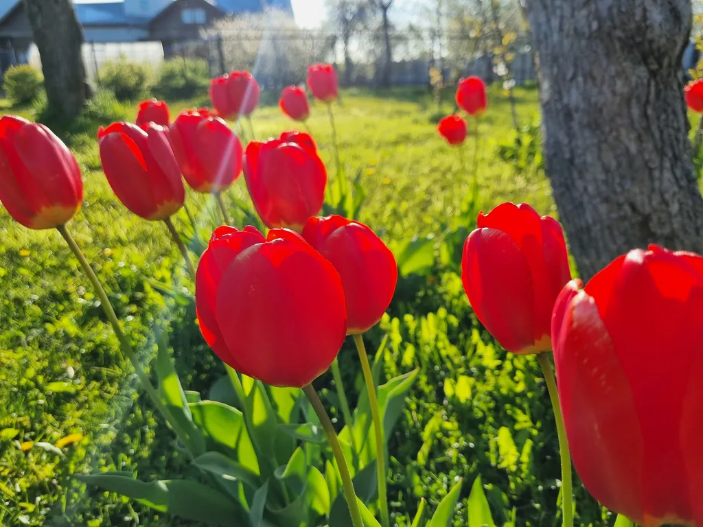 Дом, уютное место в центре города