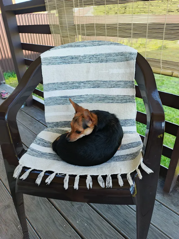 Самый уютный, семейный, спокойный домик