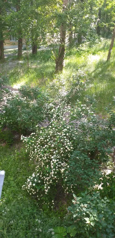 Квартира в центре Машгородка с большой открытой лоджией