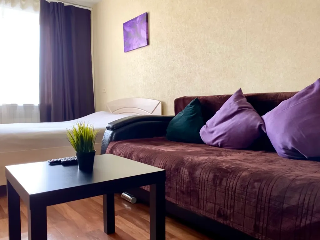 Уютная однокомнатная квартира