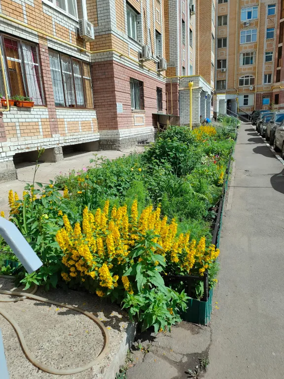 Квартира в спальном районе