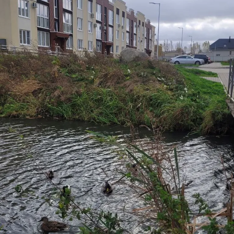 Уютная квартира у моря