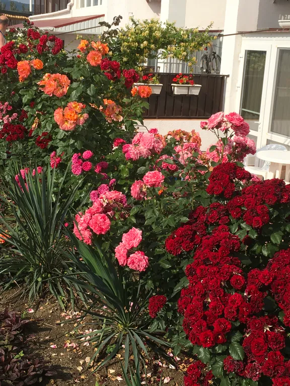 Уютная квартира, рядом с морем