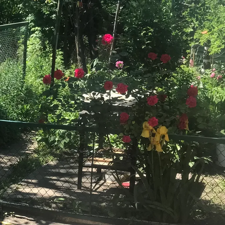 Коттедж Часть Дома с двориком — Кисловодск