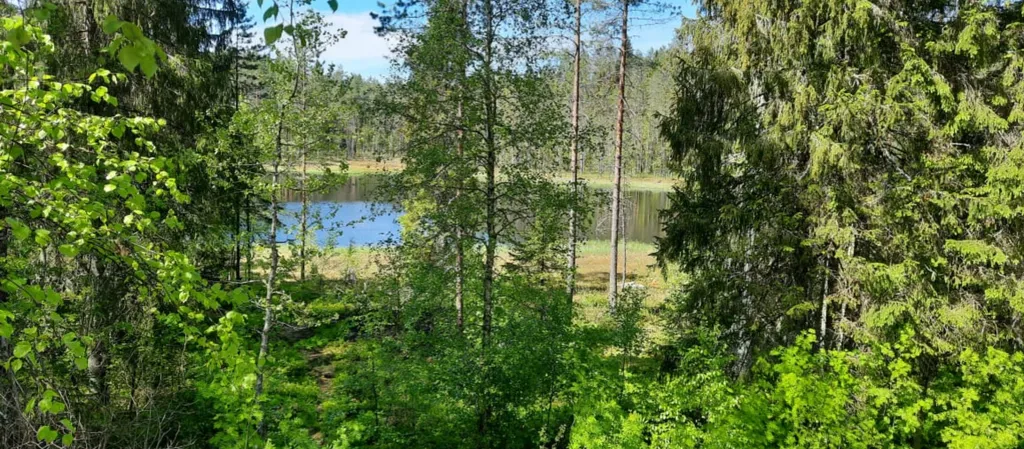 Хутор Лампи 1