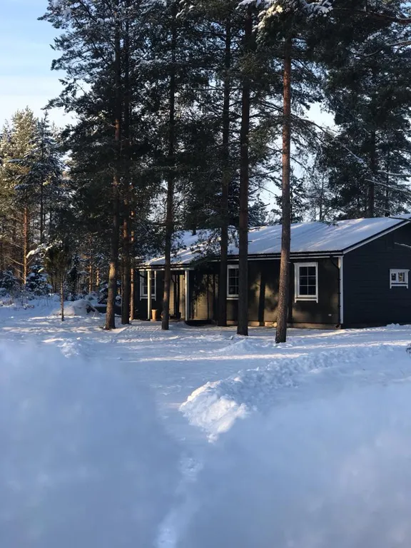 Haavejärvi - озеро мечты! Уютный дом на берегу озера в сосновом лесу