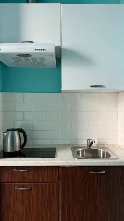 Квартира Квартира Стильная студия у метро Технопарк — Москва