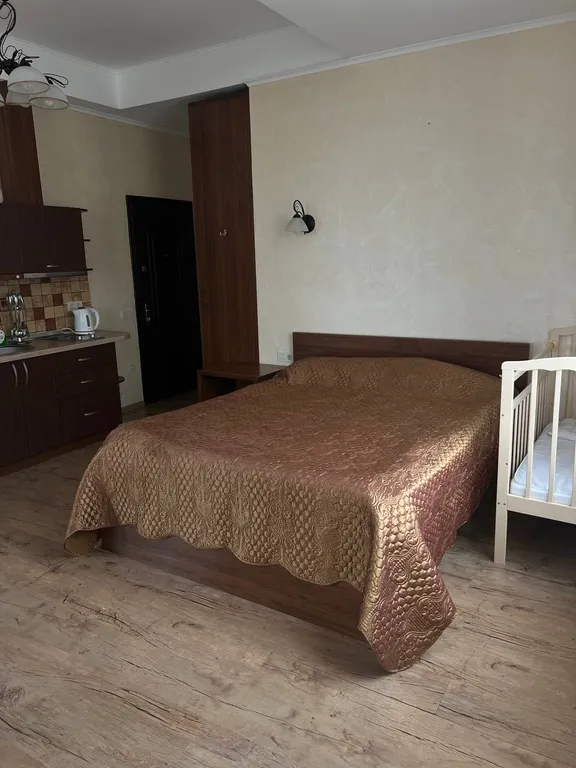 Студия с видом на горы