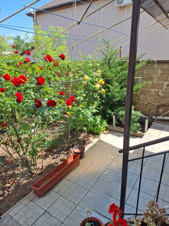 Уютный гостевой домик У Шерри