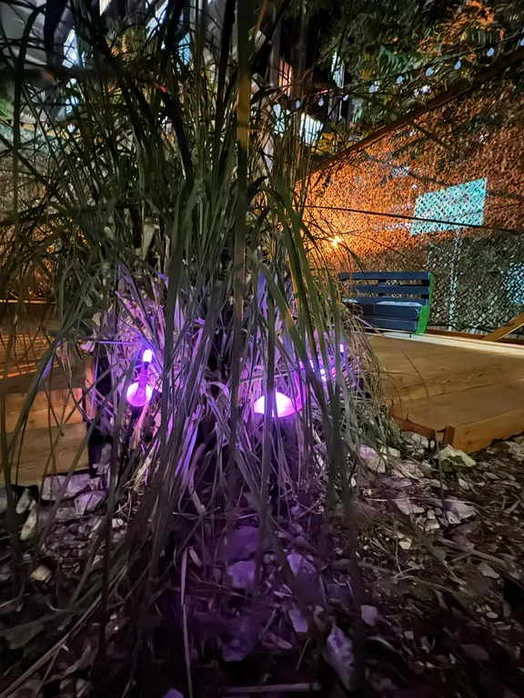 Коттедж на берегу моря