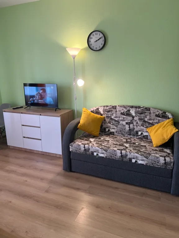 Квартира Квартира Уютная студия рядом с НИИ Петрова Гранова Напалкова — Песочный