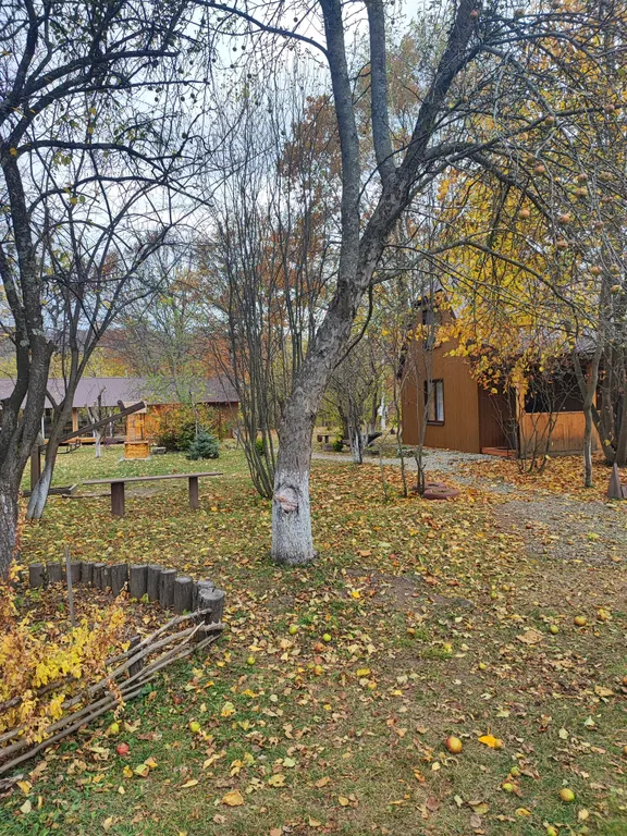 Коттедж по дороге в Архыз Медвежий угол 2