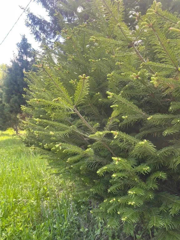 Семейный люкс на берегу Байкала