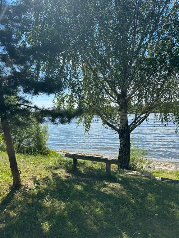 Уютный дом прямо на берегу реки