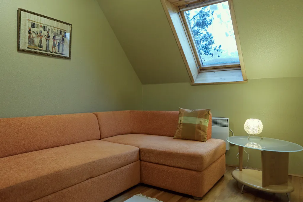 Загородный дом для большой семьи