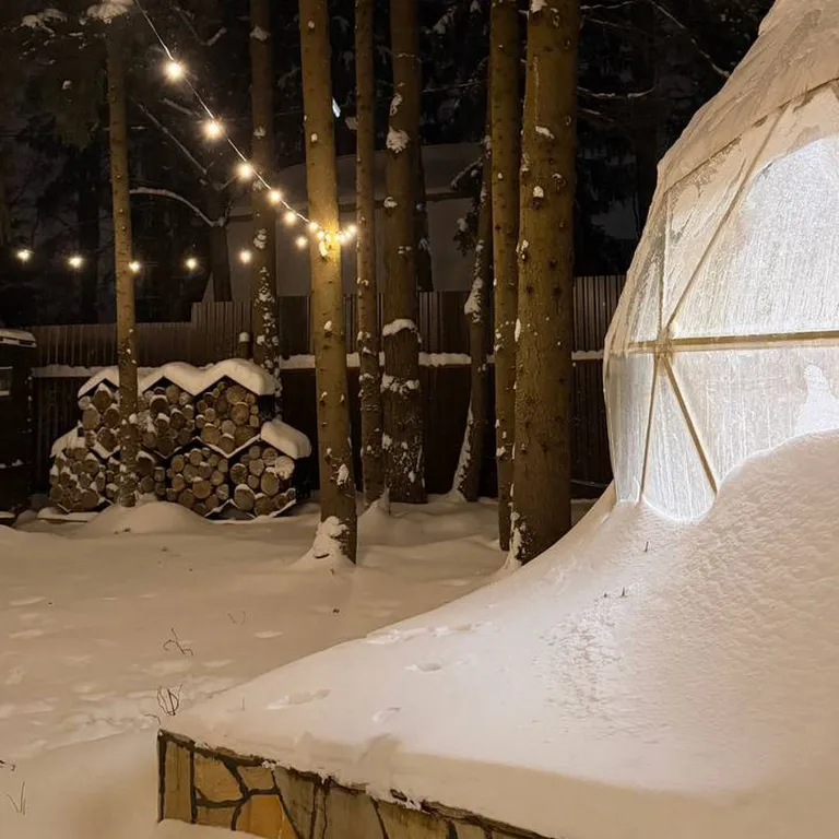 Дом для двоих в сосновом лесу