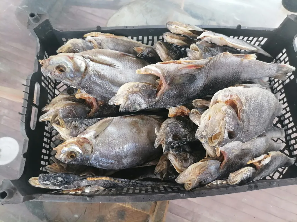 Дом на берегу Онежского озера