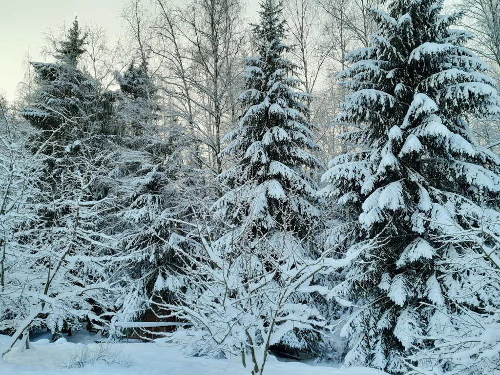 Коттедж Хаски дом — Разметелево