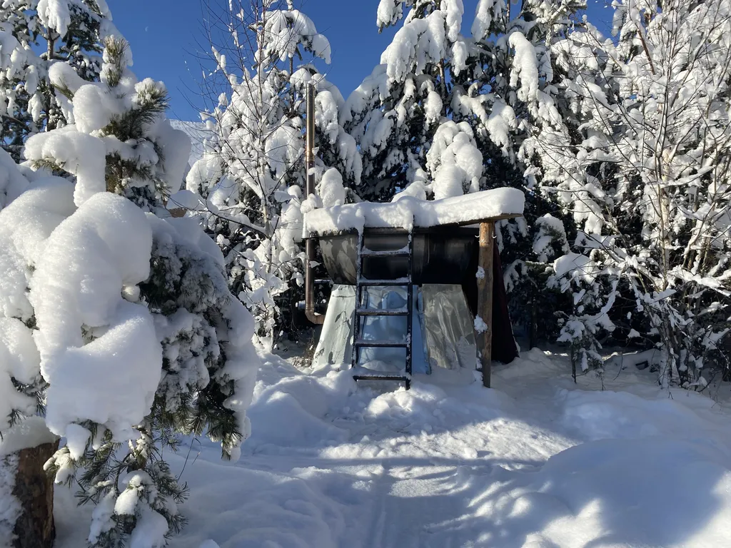 Лесная усадьба