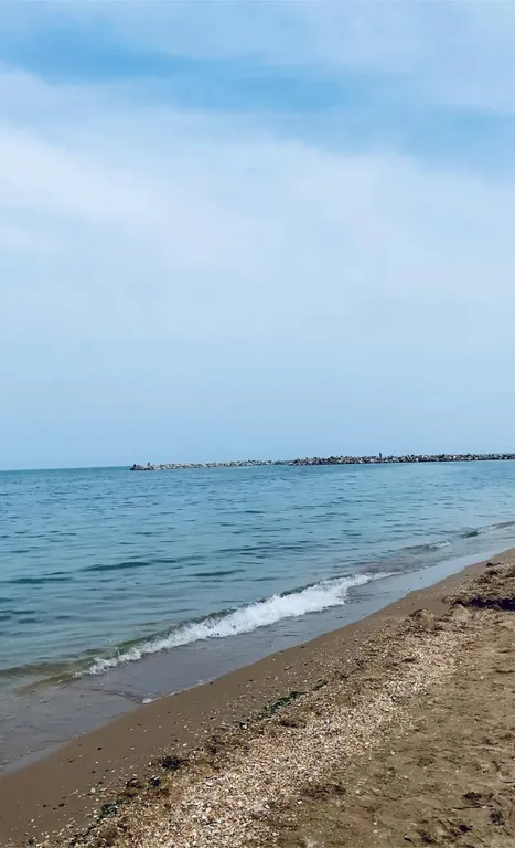 Квартира Уютная квартира рядом с морем — Махачкала