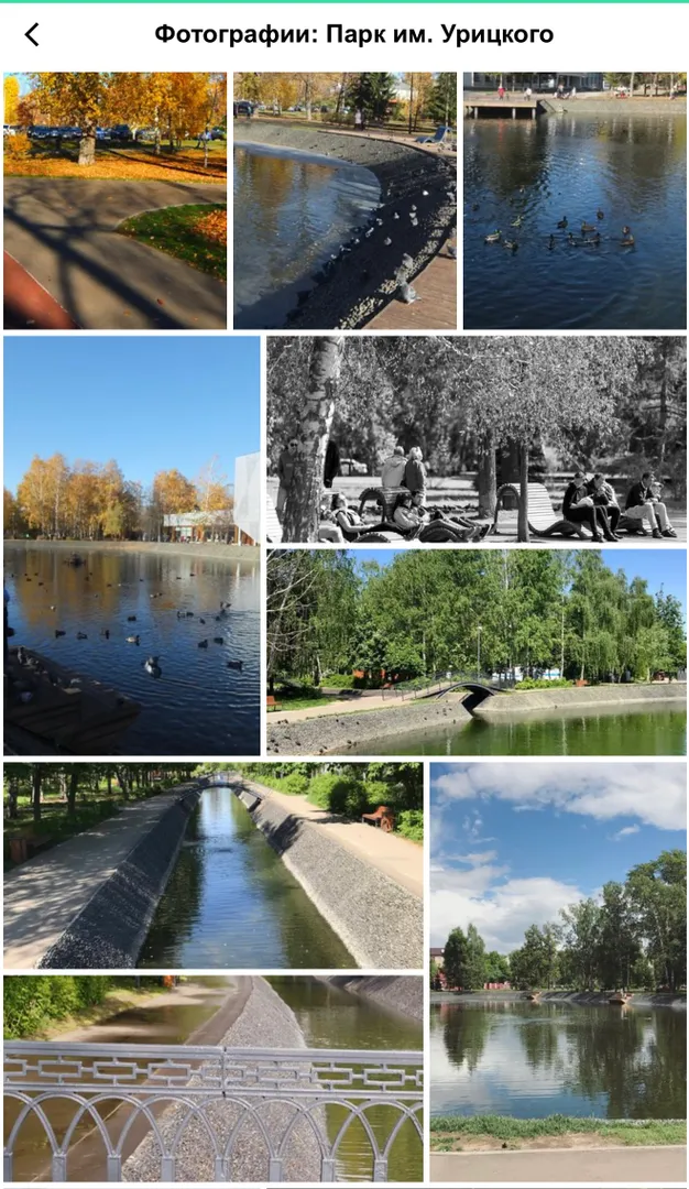 Фото