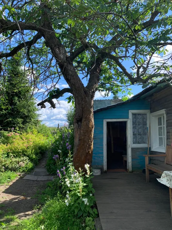 Дом в городе петрозаводске с красивым уединённым участком и баней