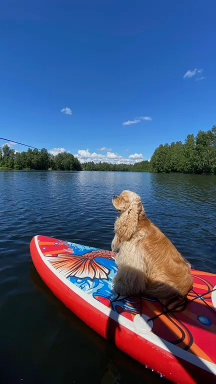 Новый уютный дом Топ 75