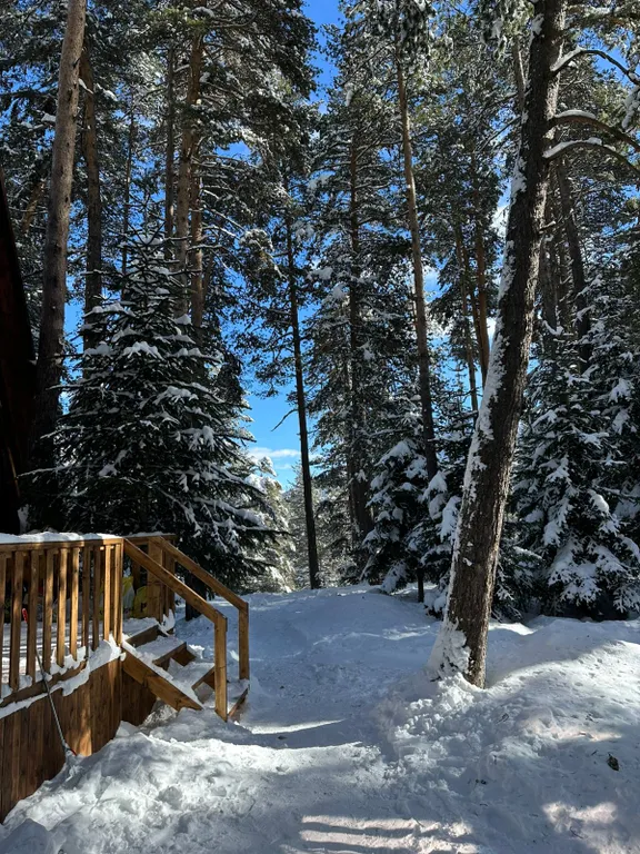 Двухэтажный А-фреим