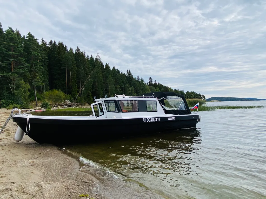 Дом Брусника у Ладоги