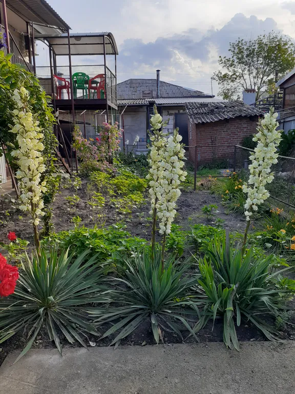 Квартира Квартира в центре города рядом с морем — Ейск