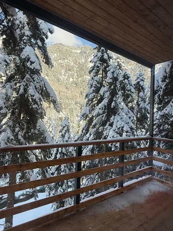 Дом Трио 16 с шикарным видом на реку Архыз (тариф без бани и бассейна)