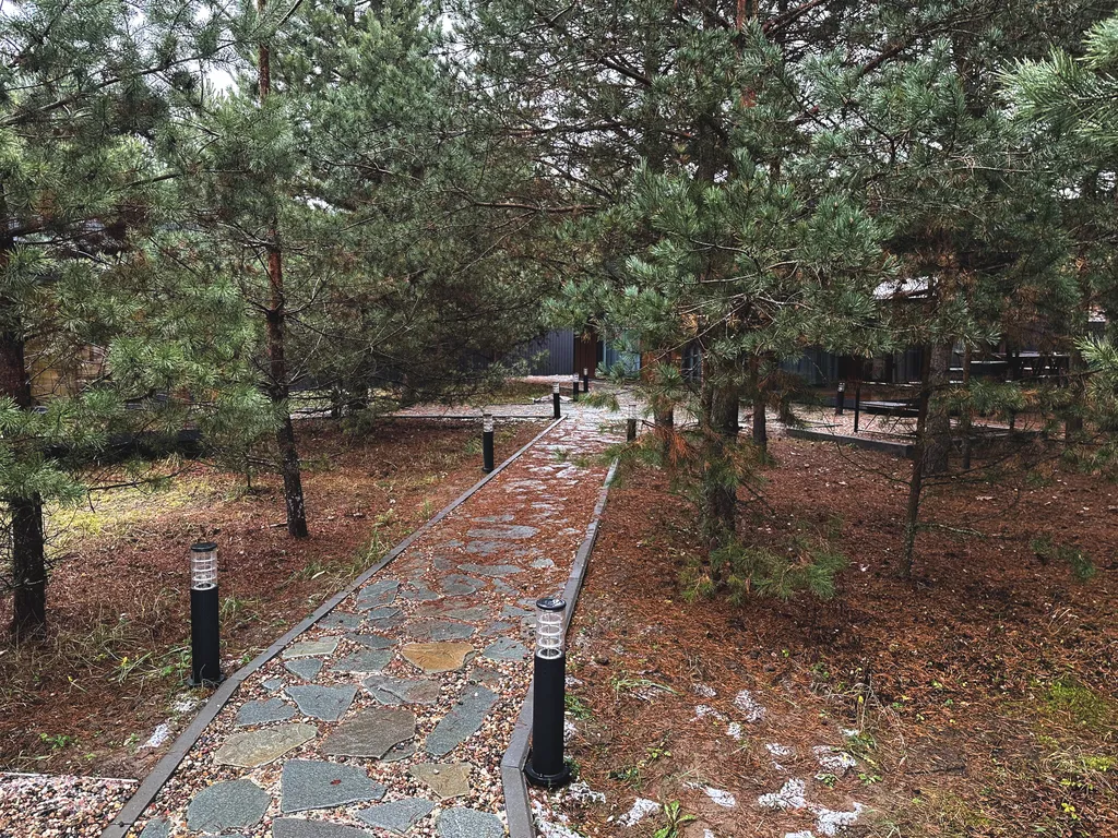 Коттедж Уютный гостевой дом с баней на дровах в сосновом лесу — Павловский Посад