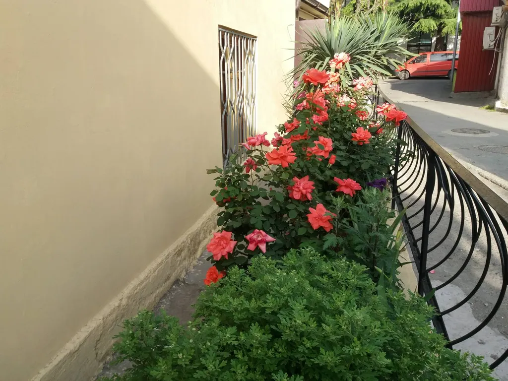 Квартира Комфорт