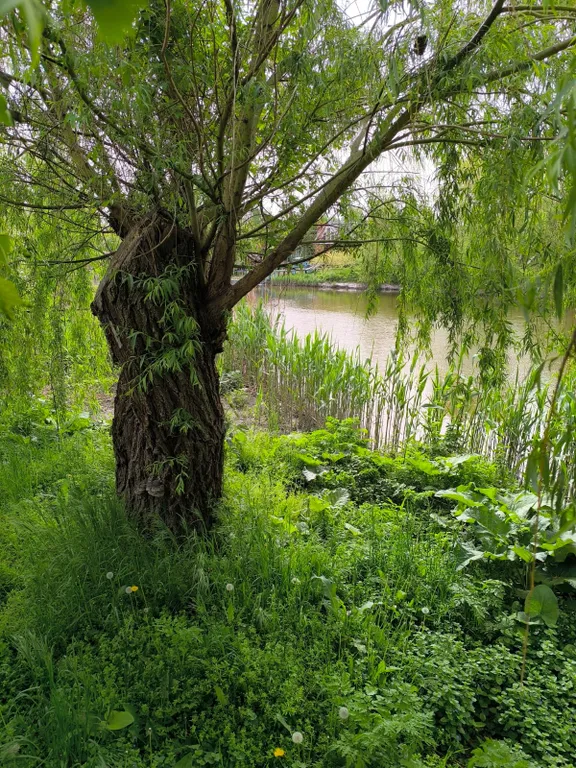 Дача на реке