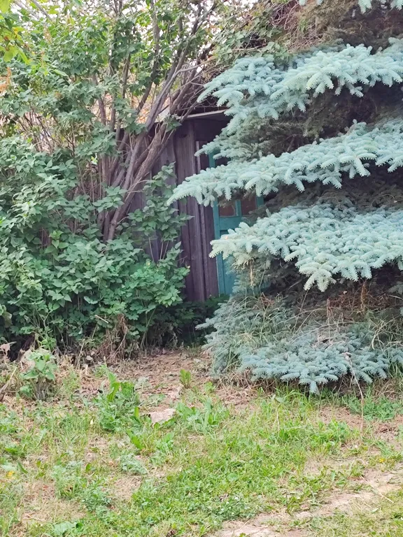 Домик на озере Синара