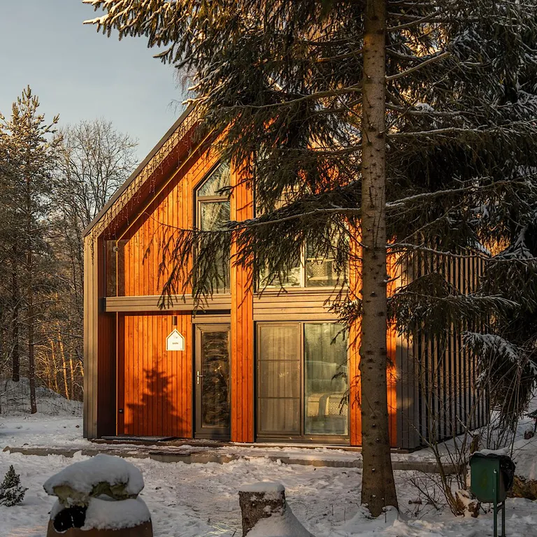 Коттедж Двухэтажный барнхаус на озере с видом на лес — Мичуринское