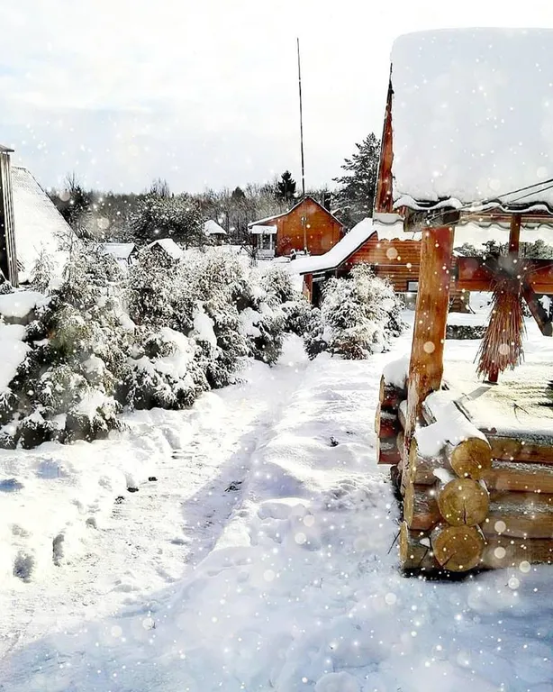 Усадьба Медвежий угол в лесу на берегу озера