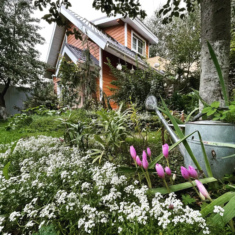 Домик-баня с камином