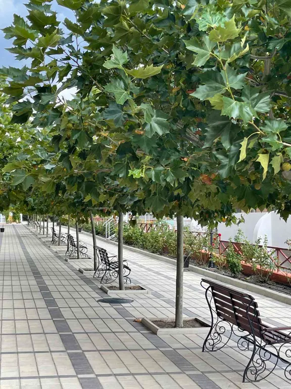 Апартамент Анна