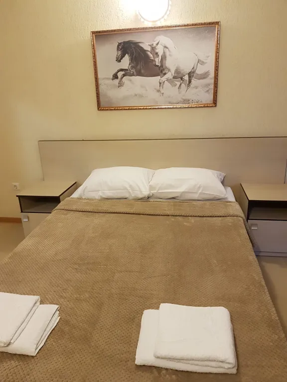 3-х местный стандарт