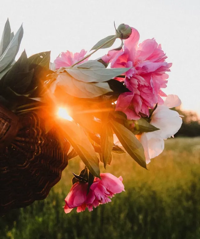 Уютный Двухэтажный коттедж с шикарной Баней на дровах