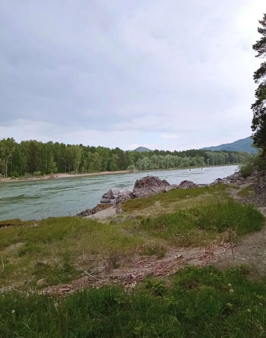 Река Катунь, не далеко от дома.