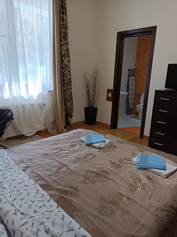 Однокомнатный номер в мини-отеле у Этнографического музея